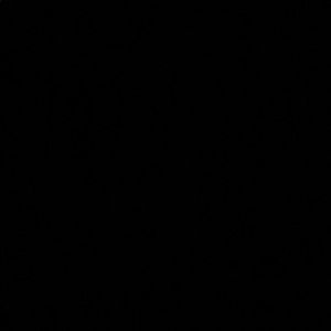 Meet your Posher, Judy